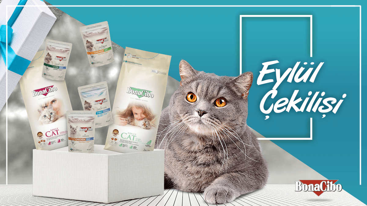 #BonaCibo Eylül Çekilişi 🤩🤩

Hesabımızı takip et gönderimizi retweetle ve bir arkadaşını etiketle ✔️

4 kg kuru kedi maması ve 12'li poşet yaş kedi maması kazanacak 5 şanslı kişiden biri olma fırsatı yakala 😉⁠

Sonuçlar 4 Ekim Salı günü açıklanacaktır. 😉
