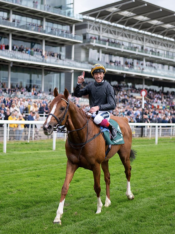 RacingPost's tweet image. 🏇 7 years of racing
⭕ 35 races
🥇 20 wins
🏆 18 Group victories
💰 £3,458,968 career earnings
🥇 7 Group 1s 

Thanks for the memories, Stradivarius 🖤💛