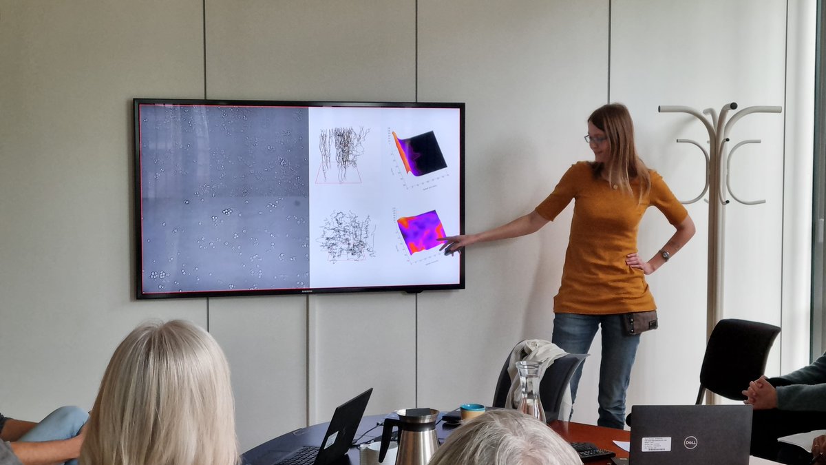 mariakan1989's tweet photo. Phd-fellow Ellen-Marie did an excellent job at explaining migrating #breastcancer cells to our user representatives from @Kreftforeningen #CIMORe @NTNUhelse https://t.co/j5RaZfGVN5