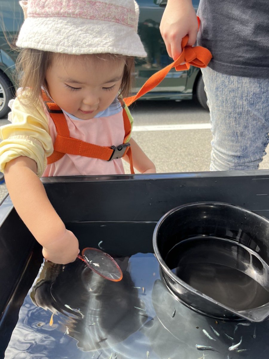 koutsumedaka459's tweet photo. 昨日ラヴォワール様のイベントに高越めだかも
行ってたので、子供を連れて遊んできました( ¨̮ )
めだかすくいを子供にさせてあげたのですが、、まさかの!!2匹掬いあげました👏🤣
掬うだけの予定だったのに記念すべきめだかちゃんは個人的に飼う事に( ¨̮ )

1歳半でもすくえるぐらいな強力ポイです笑 https://t.co/qz1pBABm8o