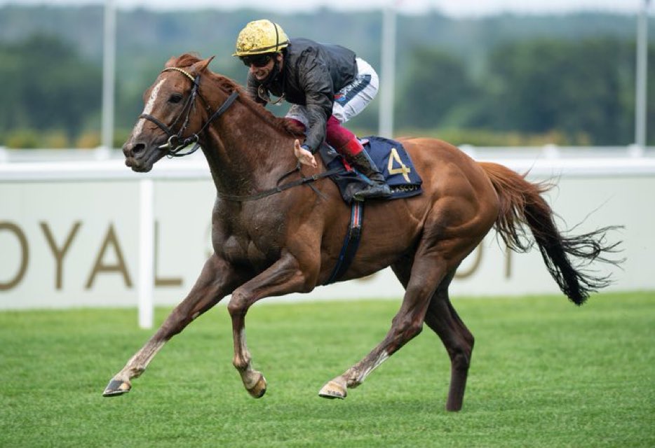 ODDSbibleRacing's tweet photo. Thanks for the memories Stradivarius 

🏇 35 runs
🥇 20 wins
🏆🏆🏆🏆 Goodwood Cups
🏆🏆🏆  Gold Cups
🏆🏆🏆  Yorkshire Cups  
🏆🏆🏆 Lonsdale Cups
🏆🏆🏆 Doncaster Cups
🏆 Long Distance Cup
🏆 Queen's Vase
💷 Over £3.4 million in prize money
🎻 Super Strad https://t.co/bjC91YyDLS