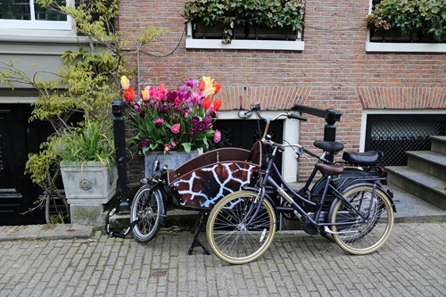 Benefina_Tweets's tweet photo. Vrije ruimte en vrijstelling reiskostenvergoeding omhoog in 2023 https://t.co/m7dMTRhIhG https://t.co/A2kamvPEPK