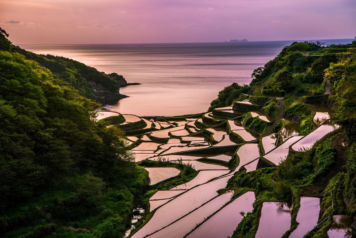 Terres_Aventure's tweet photo. 📣 Le gouvernement japonais vient d’annoncer l’exemption de visa pour les touristes européens ! Chez #Terdav, on se réjouit de retrouver les sublimes sentiers de pèlerinage de l'archipel nippon... Et vous⁉️
👉 https://t.co/MuQrefNeBR
📷 T_Mizuguchi / Takashi Yamada #japon https://t.co/sBHPFOINnR