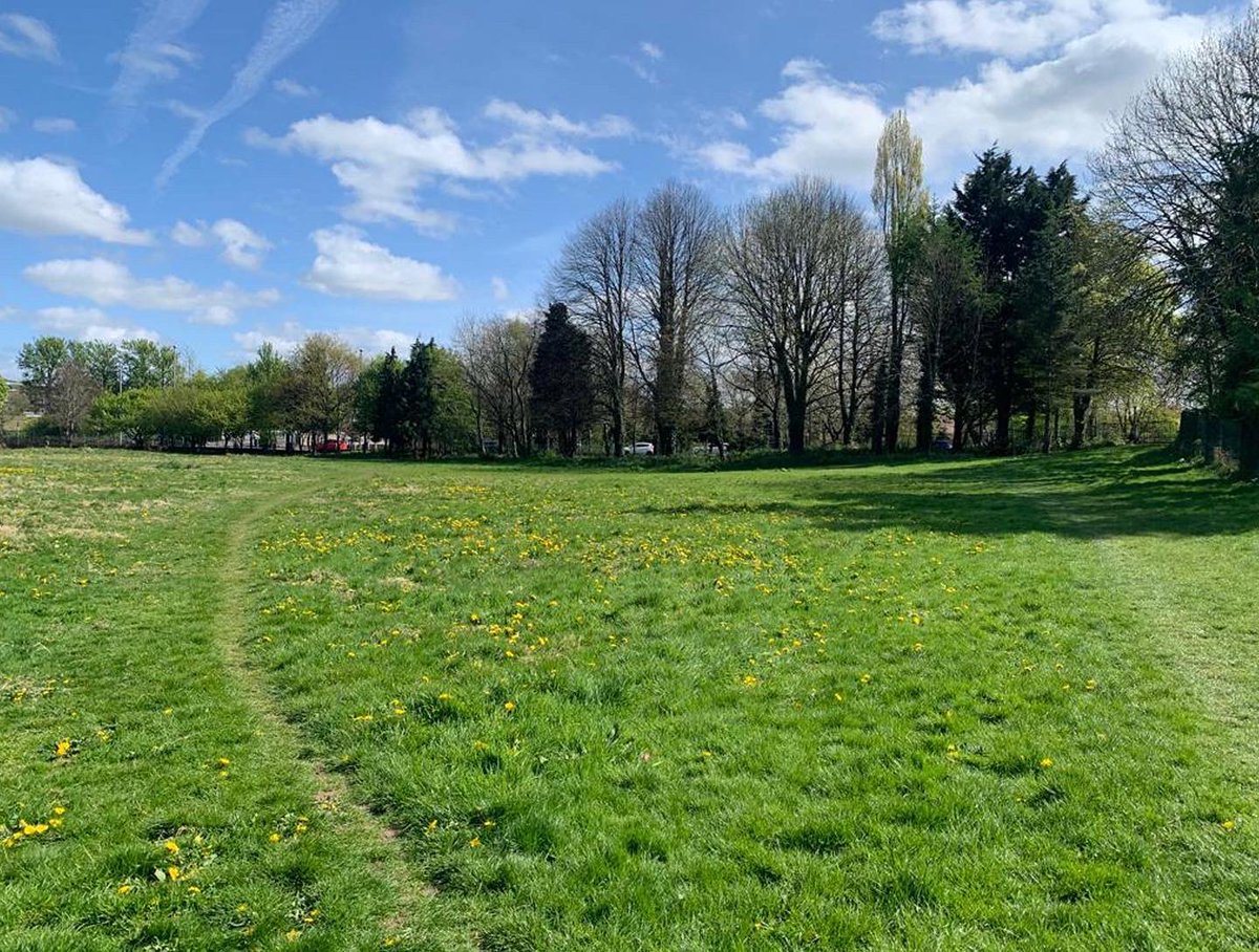 iamrebeccamcc's tweet photo. AESTHETICS:
Reimagining the park - social spaces, wildflower lawns and show gardens. A series of quick photo montage studies for the UPSURGE co-design workshop. Nature based solutions for Belfast. @UPSURGE_H2020 #naturebasedsolutions #upsurge #belfastdesign #belfast https://t.co/0NfGA6THXh