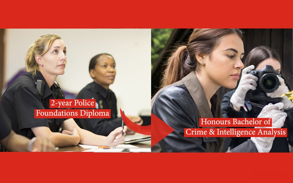 SenecaPathways's tweet image. Are you currently studying Police Foundations? 👮‍♀️

You may be eligible to pathway into @senecacollege Honours Bachelor of Crime &amp;amp; Intelligence Analysis.

Register for the Ontario Diploma to Seneca Degree Webinar Series to learn more: tinyurl.com/SenecaDegreeFa…

#SenecaPathways