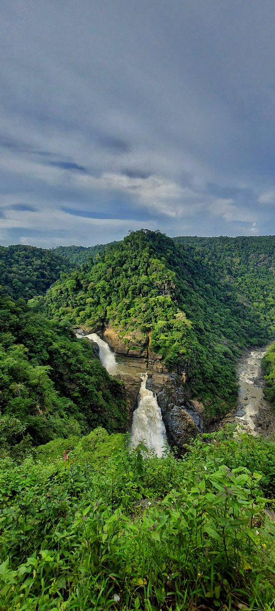WanderManVlogs's tweet photo. Magod falls, Yellapur
#magod #magodfalls #karnataka #yellapur #karnatakatourism #uttarakannada https://t.co/7ymhKOb4O8