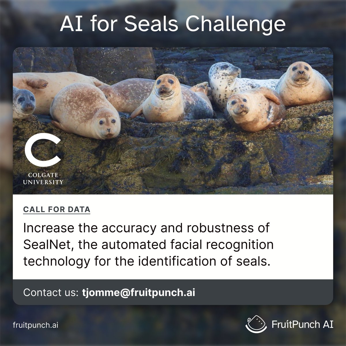 FruitPunch AI (@fruitpunchai) on Twitter photo This is the best ๐๐ฎ๐น๐น ๐ณ๐ผ๐ฟ ๐๐ฎ๐๐ฎ we could've hoped for. Ever. Crowdsourcing pictures of seal colonies ๐ฆญ ๐ธ In the upcoming ๐๐ ๐ณ๐ผ๐ฟ ๐ฆ๐ฒ๐ฎ๐น๐ ๐๐ต๐ฎ๐น๐น๐ฒ๐ป๐ด๐ฒ we'll develop facial recognition models to identify individual seals. In collab with <a href="/colgateuniv/">Colgate University</a> 1/2 This is the best ๐๐ฎ๐น๐น ๐ณ๐ผ๐ฟ ๐๐ฎ๐๐ฎ we could've hoped for. Ever. Crowdsourcing pictures of seal colonies ๐ฆญ ๐ธ In the upcoming ๐๐ ๐ณ๐ผ๐ฟ ๐ฆ๐ฒ๐ฎ๐น๐ ๐๐ต๐ฎ๐น๐น๐ฒ๐ป๐ด๐ฒ we'll develop facial recognition models to identify individual seals. In collab with <a href="/colgateuniv/">Colgate University</a> 1/2