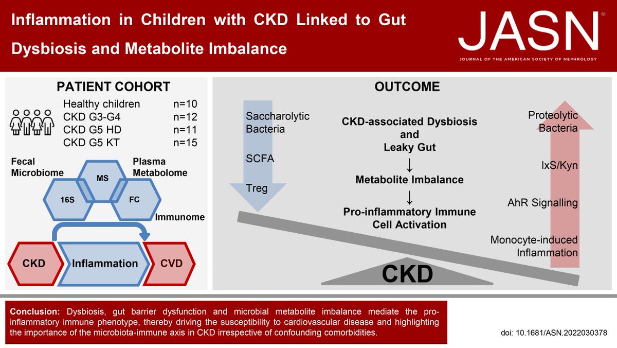 JASN_News tweet media