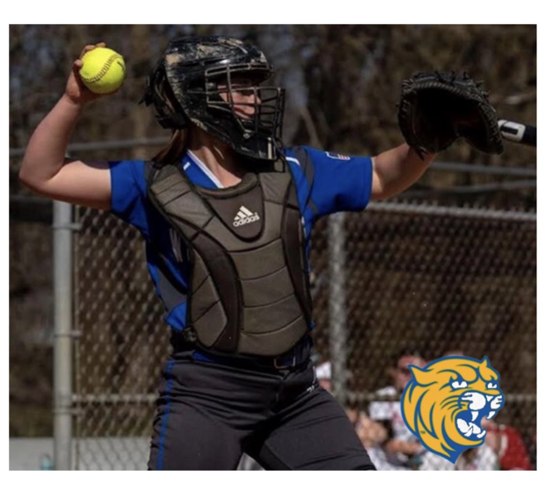 whsoftball tweet media