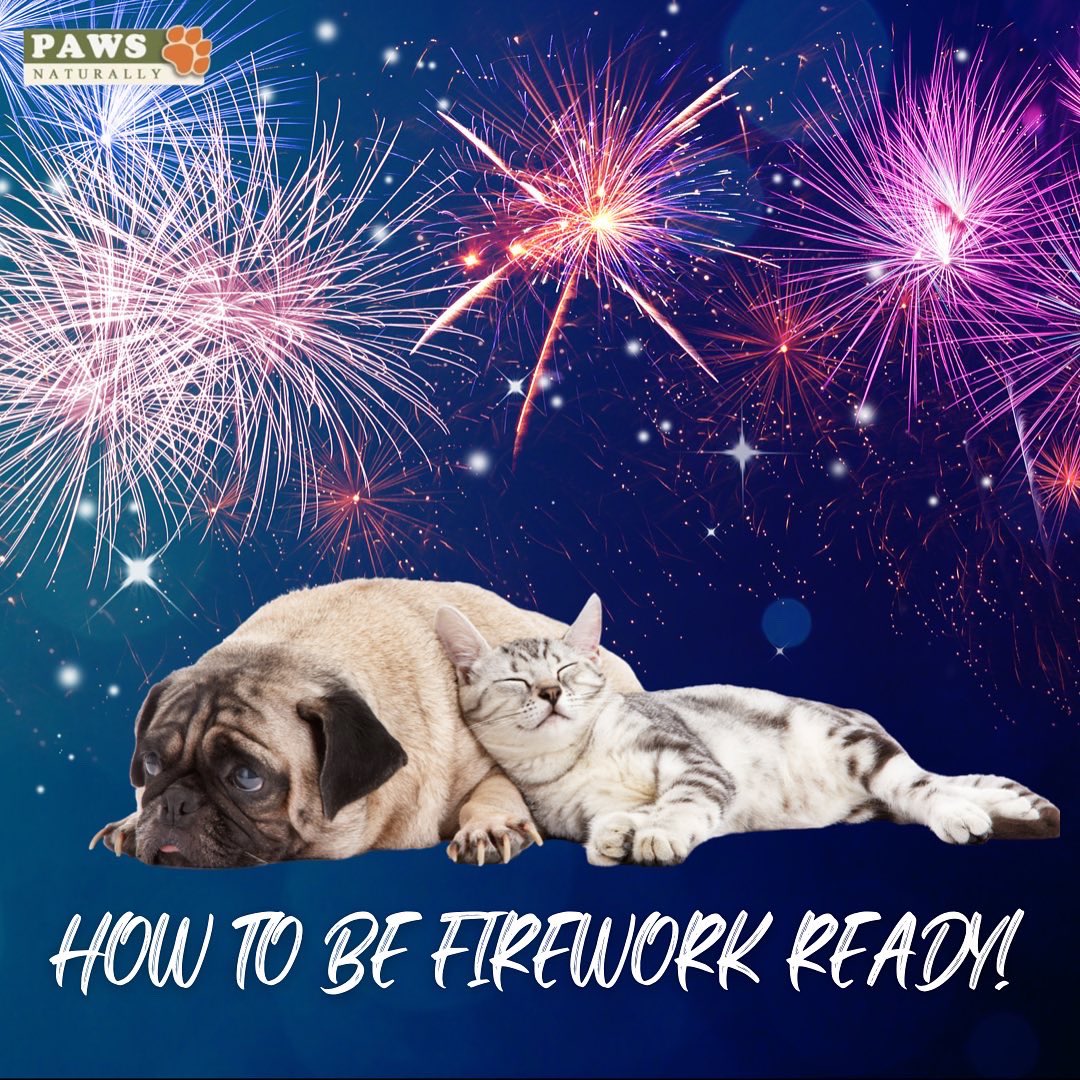PawsNaturally's tweet image. Head over to our Facebook or Instagram page and have a read of our guide on how to be Firework ready for your pet this year. 

#Autumn #fireworks #BonfireNight #festivaloflights