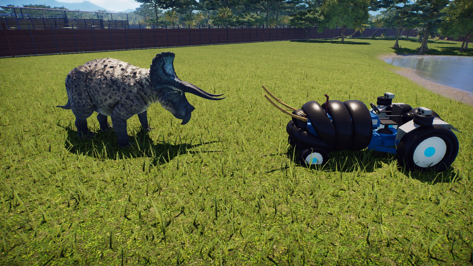 竜王C.saharicus(せいや) on Twitter 