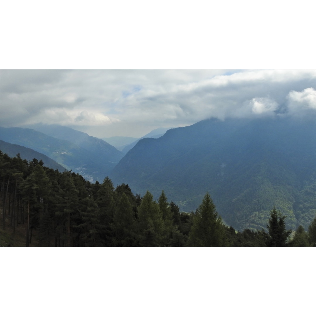 Tomás Sitzmann tweet media