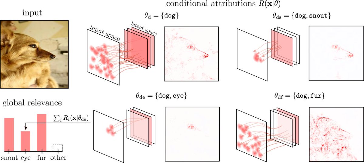 Sebastian Lapuschkin tweet media