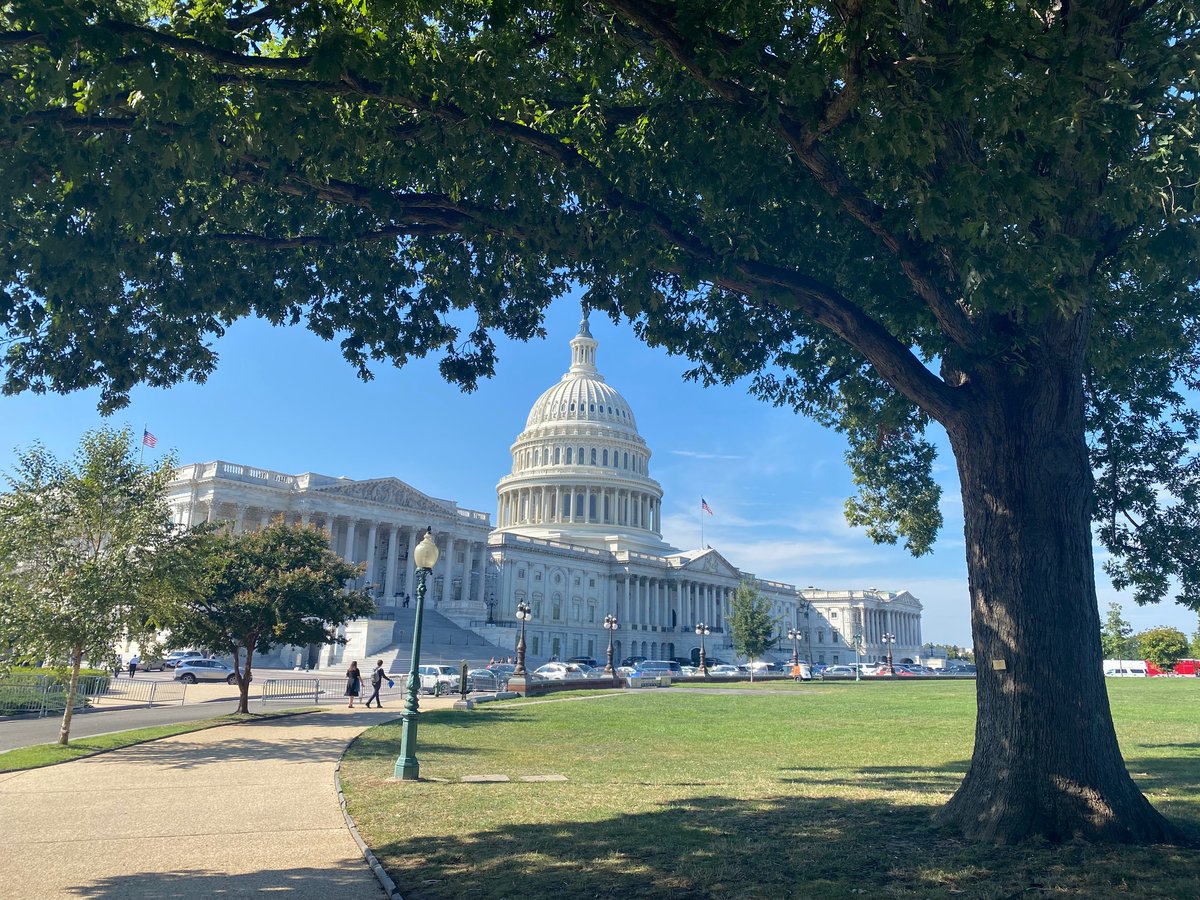 We were in Washington last week to talk to legislators and USDA staff about the need for stronger action to prevent new forest pests from entering the country. It was hot and this tree provided some shade, but will it be killed by an invasive pest?   #foresthealth