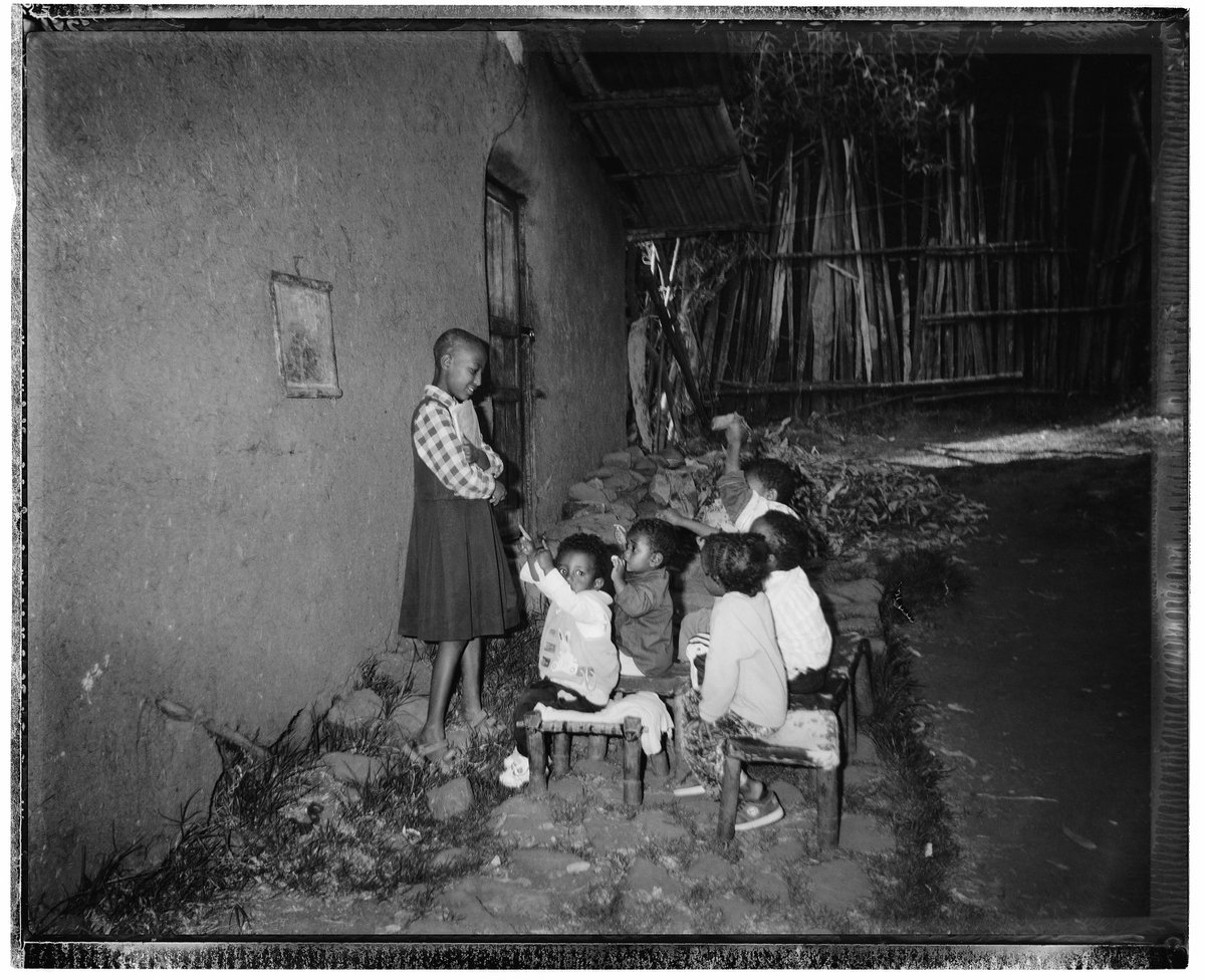 Sudden Flowers # 41
from Sudden Flowers
by <a href="/EricGottesman/">Eric Gottesman</a> in collaboration with Sudden Flowers

Explore more on <a href="/AssemblyCurated/">Assembly Curated</a>

nft.assembly.art