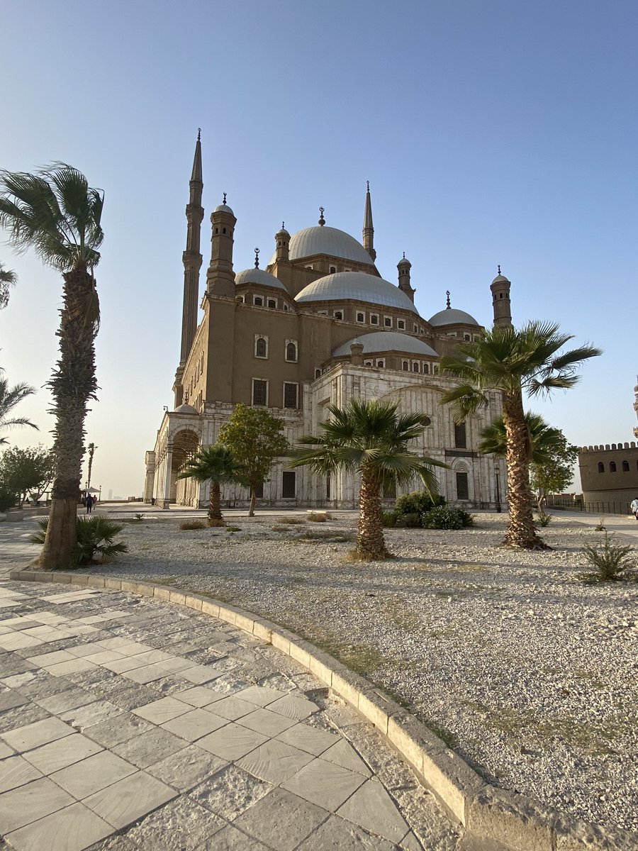 EricMusitelli's tweet image. Day trip