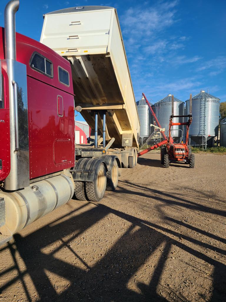 leafcutterguy's tweet photo. Finally first load of alfalfa seed https://t.co/stsonmQchQ