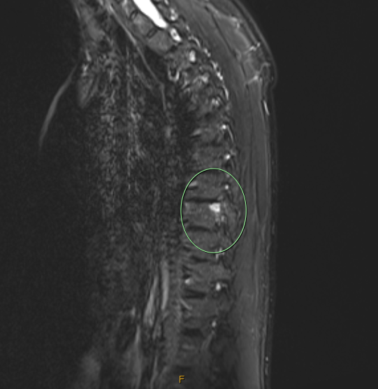 James Noake tweet media