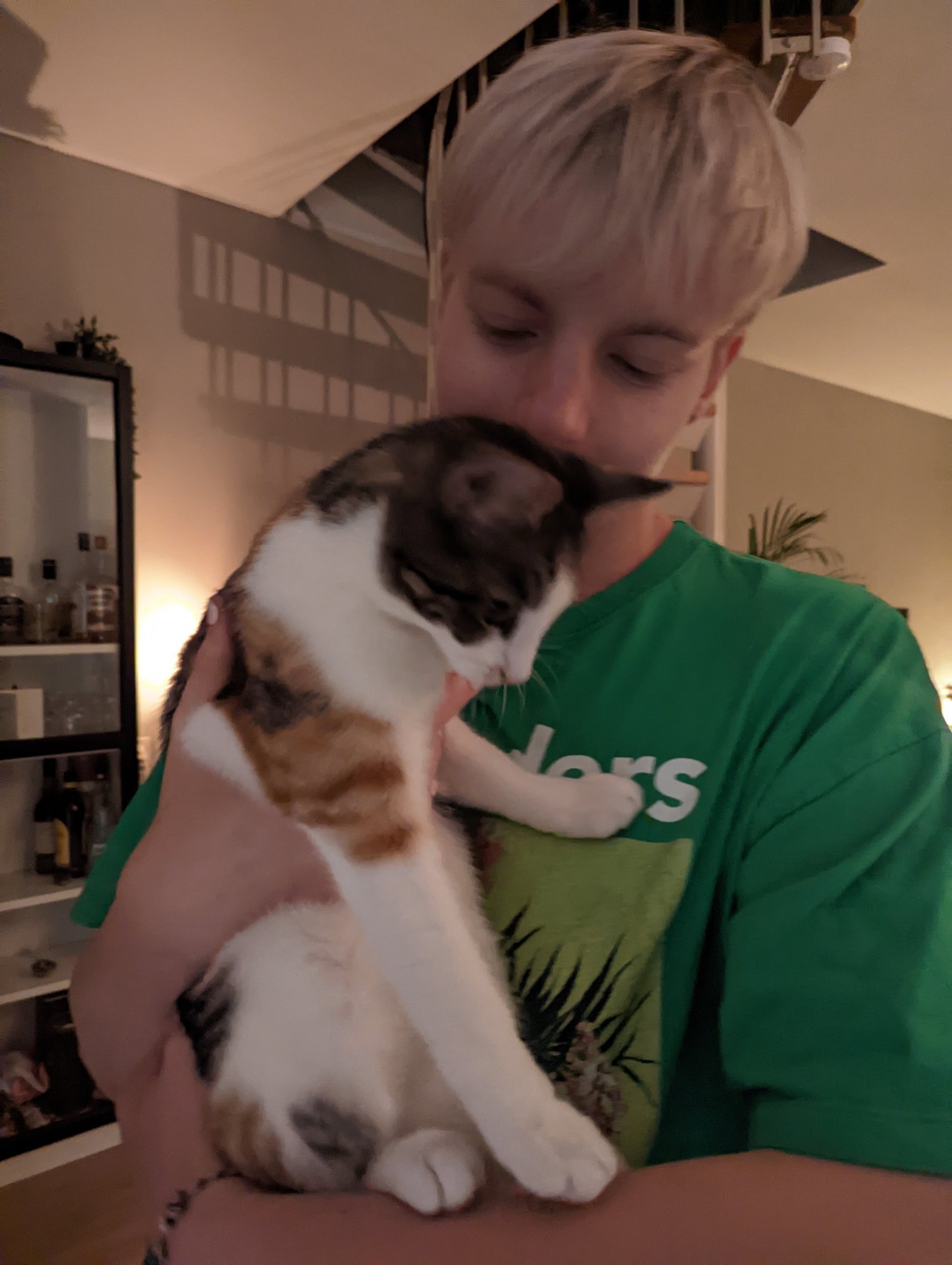 Help my cat has been catnapped!
Suspect description: looks exactly like @fawnykid
He might be armed and