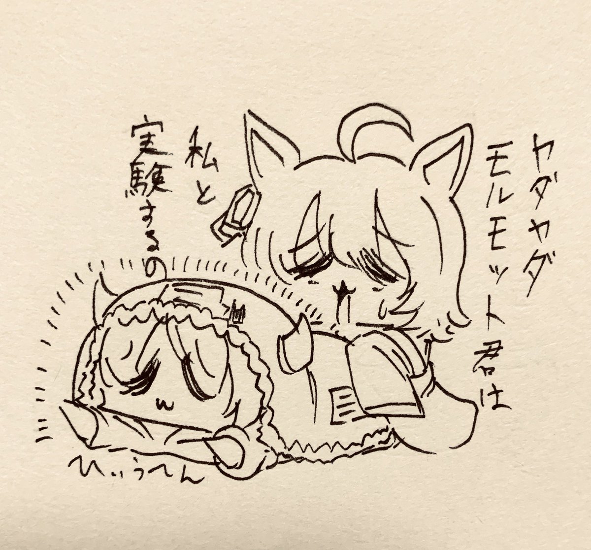 モルモット君 