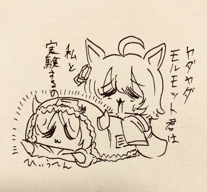 モルモット君 