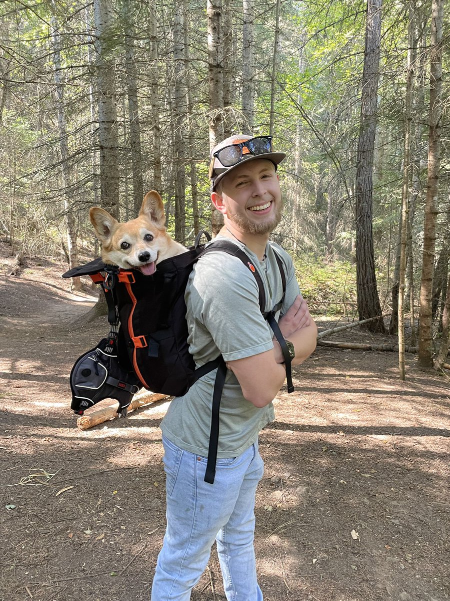 Professor_Car's tweet photo. My personality is starting to lean towards being a dog dad. #CorgiLover https://t.co/YXAFNCLB0R