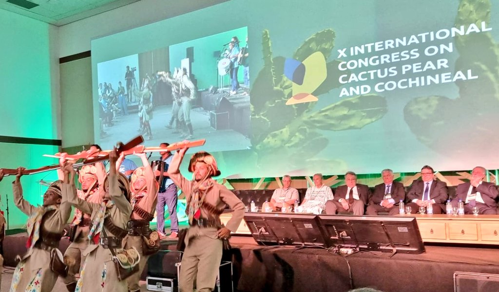 La Embajadora Laura Esquivel participó hoy en la inauguración del "X Congreso Internacional del Nopal y la Cochinilla", en João Pessoa, Paraiba 🇧🇷. Destacó la importancia del nopal en la seguridad alimentaria, en la sustentabilidad y la salud humana.