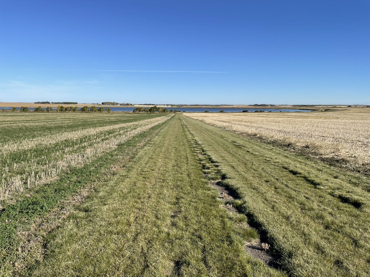 Cory Willness tweet media