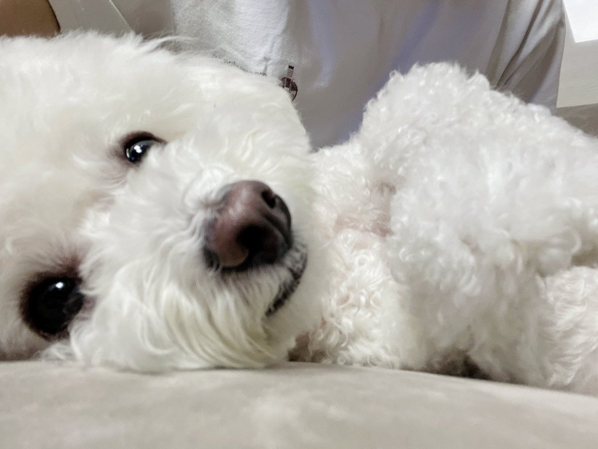 bble_t_aste's tweet photo. 앗 귀여워ㅓㅓㅓㅓㅓ https://t.co/iFgkE29JYG