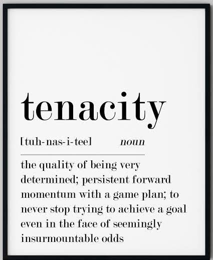 SCWarriorSALT's tweet photo. MOTIVATIONAL MONDAY: Have tenacity in everything you do this week warriors! Make this Monday a great one! #itsamindset #SC https://t.co/JzWNCnqv7Y