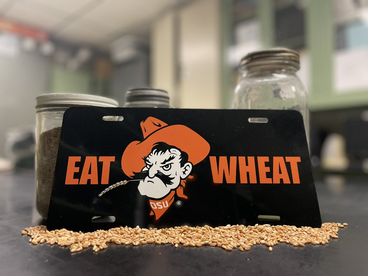 Okstate Agronomy tweet media