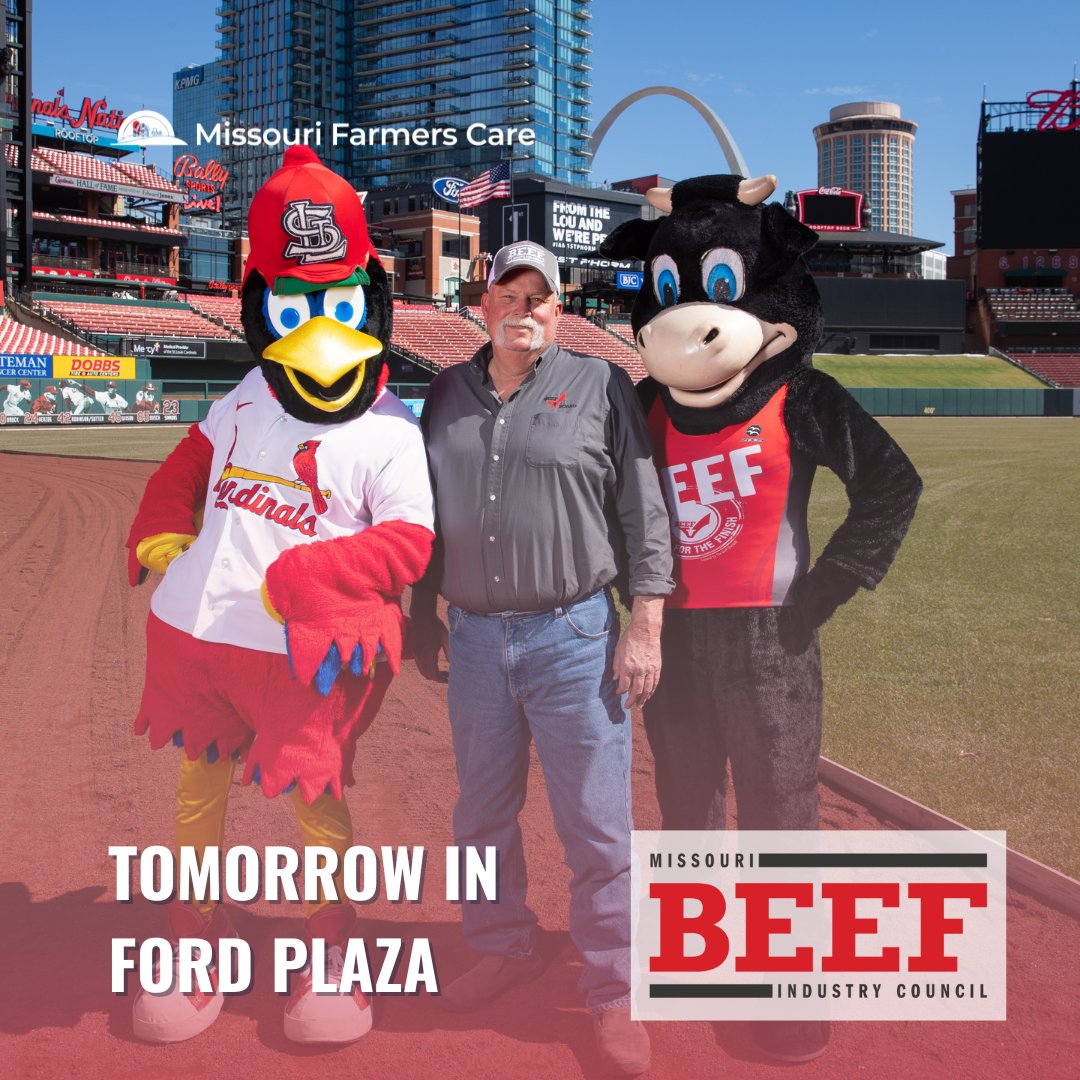 Join us tomorrow evening for the FINAL #RacetothePlate of the 2022 #STLCards season!

Come meet our friends at Missouri Beef Industry Council in Ford Plaza!

#GoFarmTeam | #MoFarmersCare