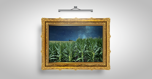 BayerTraits's tweet image. Van Gogh, Picasso, Bob Ross, and…  🥁 

The #SmartCornSystem. 🌽 🎨

📸 @Stew_Agron_SIN