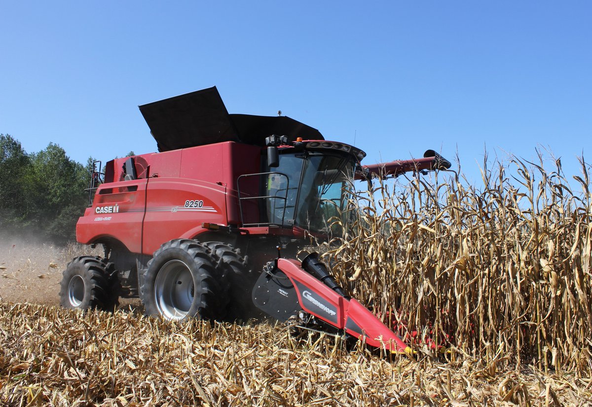 HooberInc's tweet photo. Corn Harvest Is In Full Swing - Collins Brothers Farm – Millsboro, DE
Case IH 8250 Combine, Case IH MAG310 &amp; Geringhoff PATNS830 Cornhead
#caseih #hooberinc #harvest22 #harevst #delaware #agriculture #farming #geringhoff @Case_IH @Geringhoff https://t.co/xeftMdHVzc
