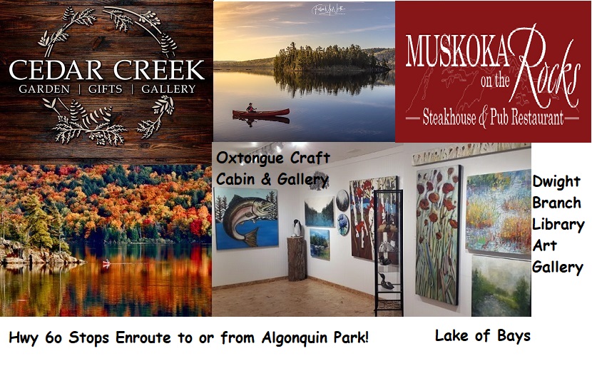 LakeofBaysARTS's tweet image. Heading to #AlgonquinPark to take in the #Autumncolours? Be sure to visit enroute #ArtsLoop members Cedar Creek Gallery, #Dwight Branch #LakeofBays Library &amp;amp; #Oxtongue Craft Cabin &amp;amp; #Gallery for #souvenirs. Then quench your thirst and appetite at #Muskoka on the Rocks. #Hwy60