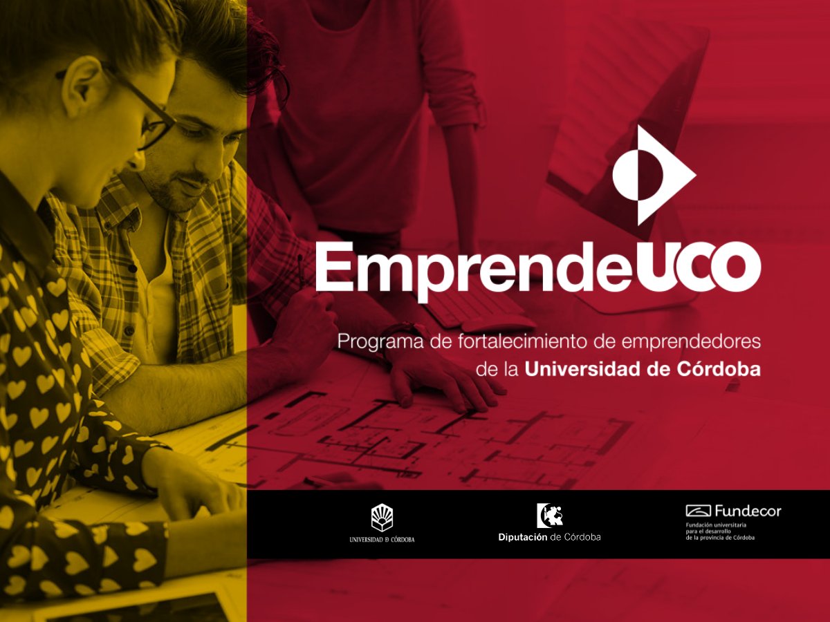 Derecho y CCEE y EE tweet media