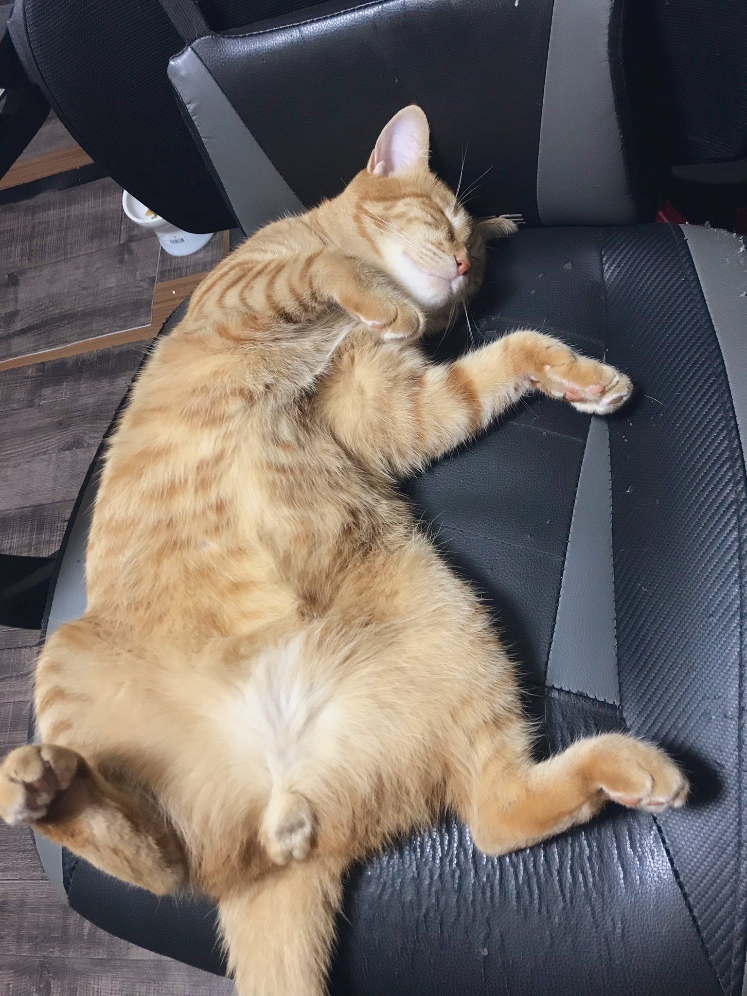 マサクロ on Twitter: "おっぴろげ https://t.co/gyOHZW7U2k" / Twitter