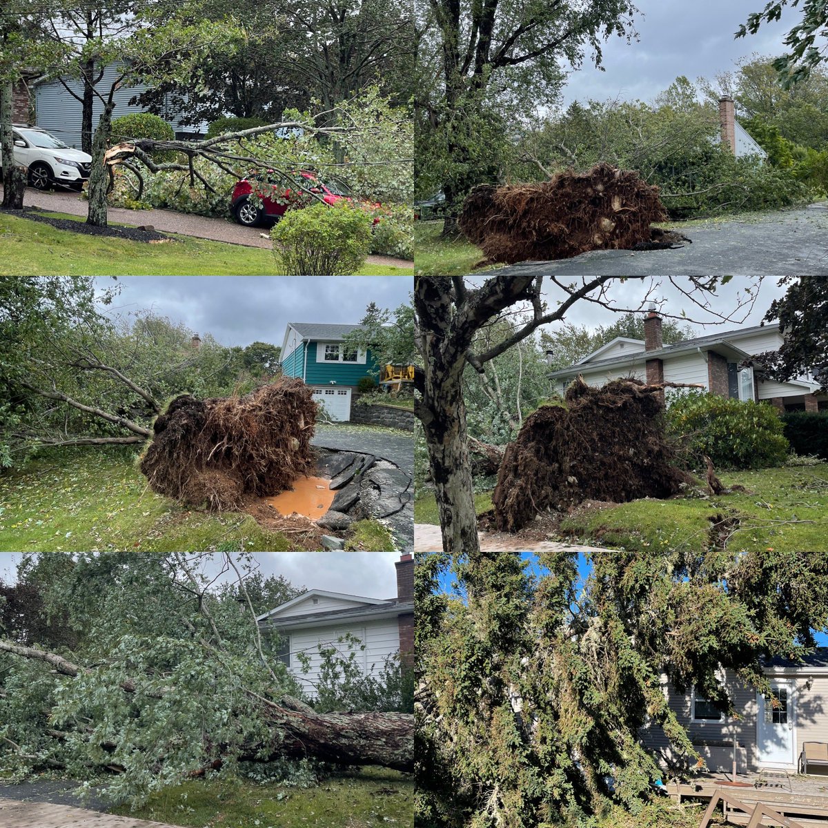 Scenes from Fiona #Dartmouth