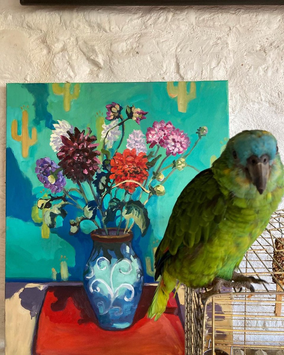 lucypratt_art's tweet photo. Cuthbert looking super glam! 💕#studiohelper #whosaprettyboy #bluefrontedamazon #parrot #birds #artist #studio #birdfriend #stilllife #dahlias #dahliaseason https://t.co/cwUpBzQabp https://t.co/wcr3Edz9OG
