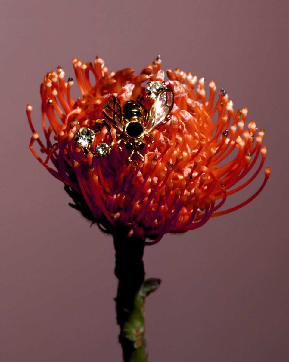 ZARA on Twitter "ELIE TOP x Zara. Limited accessories collection