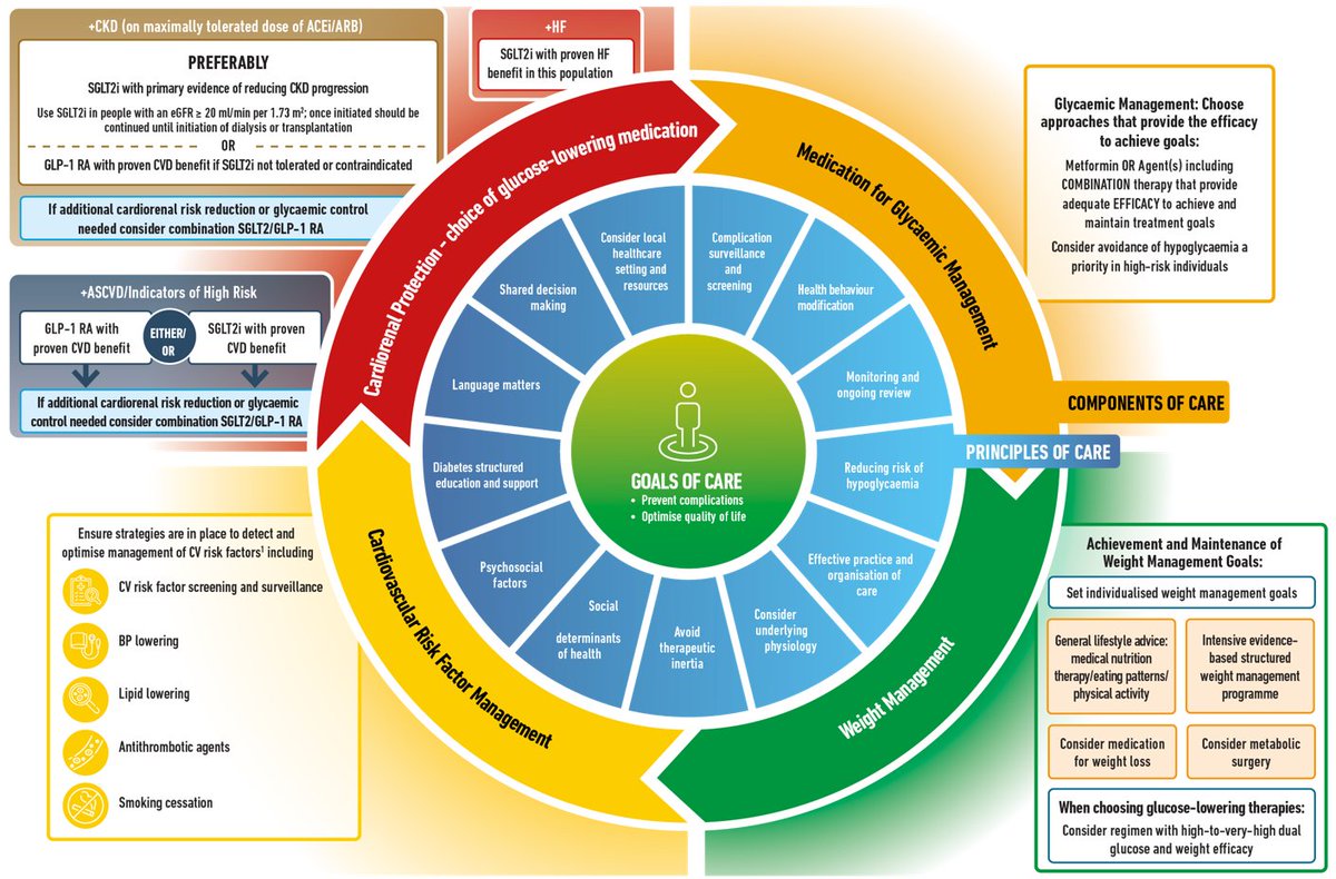 Management of #hyperglycaemia in type 2 diabetes, 2022. A consensus report by the <a href="/ADA_DiabetesPro/">American Diabetes Association - DiabetesPro</a>  and <a href="/EASDnews/">EASD</a> 
A holistic person-centred approach to #t2d management
Slides: bit.ly/3R82rxZ
Report: link.springer.com/article/10.100… (permanent link)