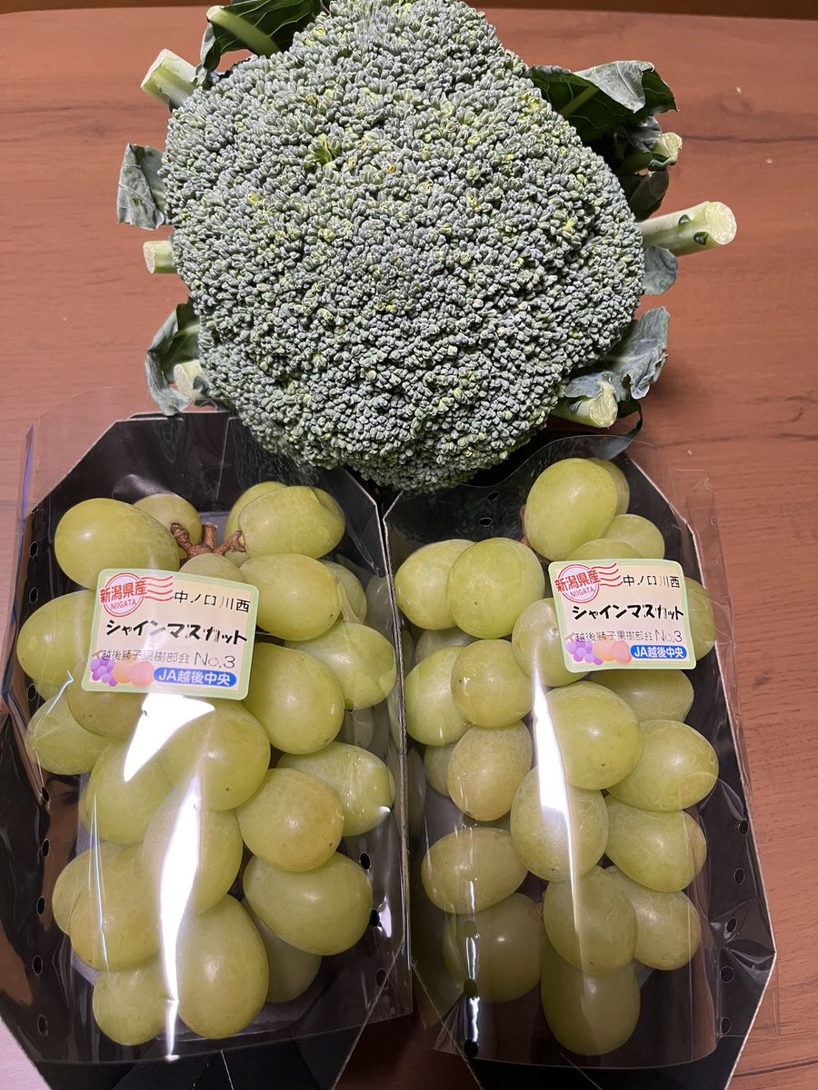 emem5296's tweet photo. ﾂｨｯﾀｰには無かったけど、今日も買えました🤗698円のシャインマスカット！と、158円の大きなブロッコリー🥦！お買い得品がいっぱいですね🤣
#本町むさしや本店 https://t.co/2QFELiklr8