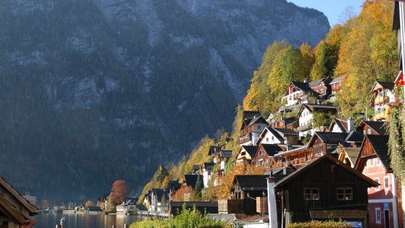 VisitHallstatt's tweet photo. Es riecht nach Tannennadeln, Moos, Waldboden. Goldenes Licht bahnt sich den Weg durch die Baumwipfel. Zeit für eine Pause! Und der Weg? Der wartet auch später noch auf dich. Beim #Herbst im #Salzkammergut - Schau mal rein: https://t.co/nzys1yG2FZ #VisitHallstatt #Hallstatt https://t.co/VwlDRKxcbS