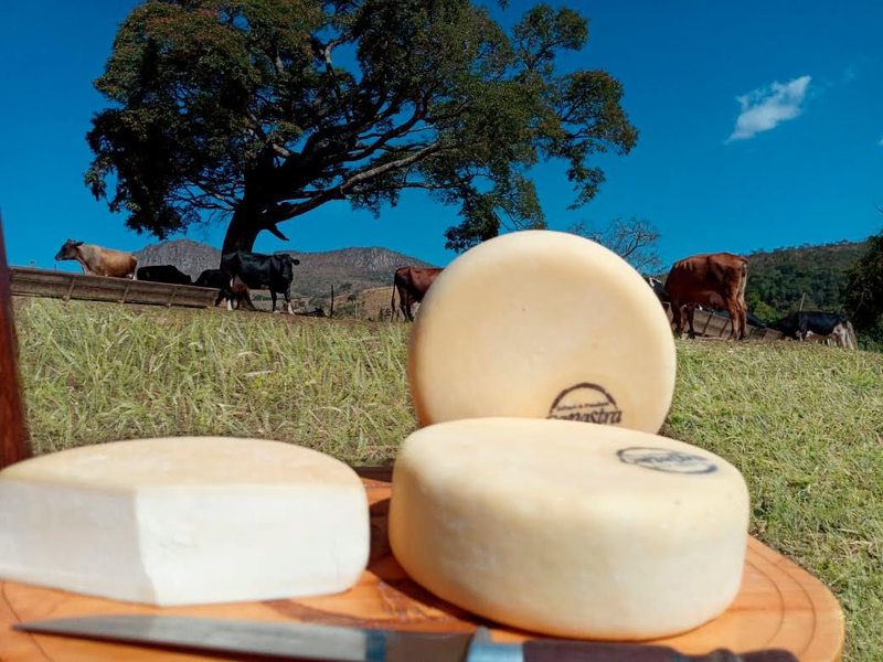 RadioAlvorada's tweet photo. 🟠 🧀 Modo de fazer queijo Minas é candidato a Patrimônio Imaterial da Humanidade. 🔺😋
Saiba mais: https://t.co/aaaBBmANAz
#QueijoMinas #MinasGerais #IEPHA #PainelAlvorada
Foto: Emater MG/Divulgação https://t.co/TsTd9XvWWj