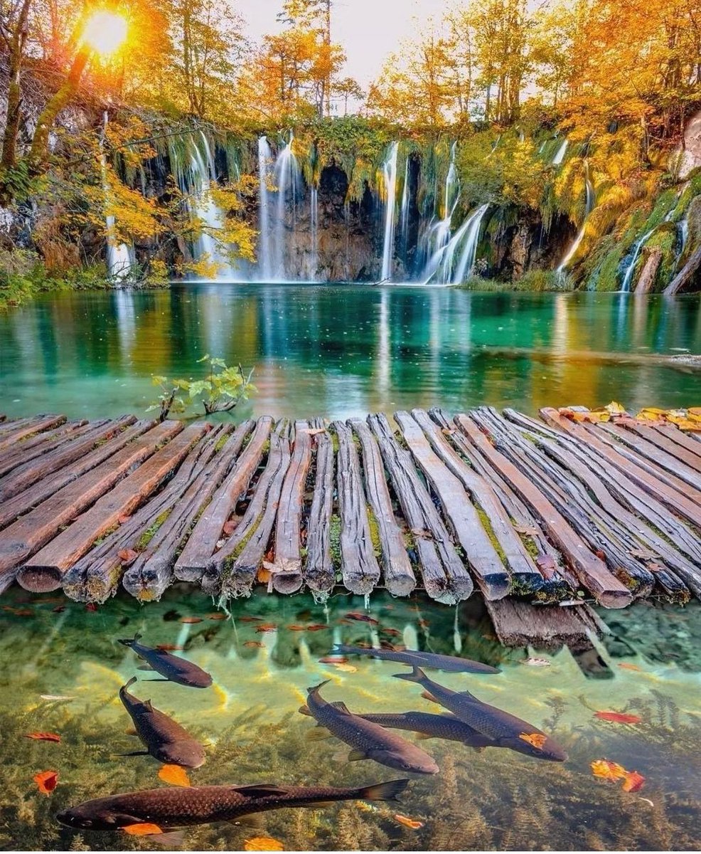 Solomon 👑✨ tweet media