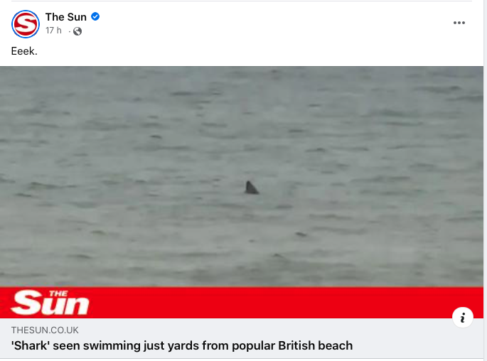 CarveMag's tweet photo. It's video of a seal having a snooze, you planks https://t.co/0PIn6egzsR