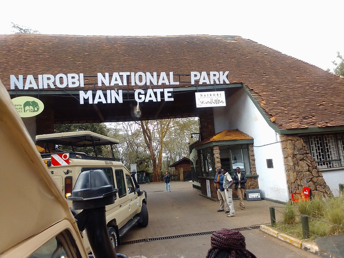 GPrimeAdventure's tweet photo. Happy clients at Nairobi national park.

#Goldenprimeadventures
#Nikon 
#Canon 
#nairobinationalpark 
#rhino 
#TembeaKenya 
#magical 
#Twitter https://t.co/fqwAFnMITq