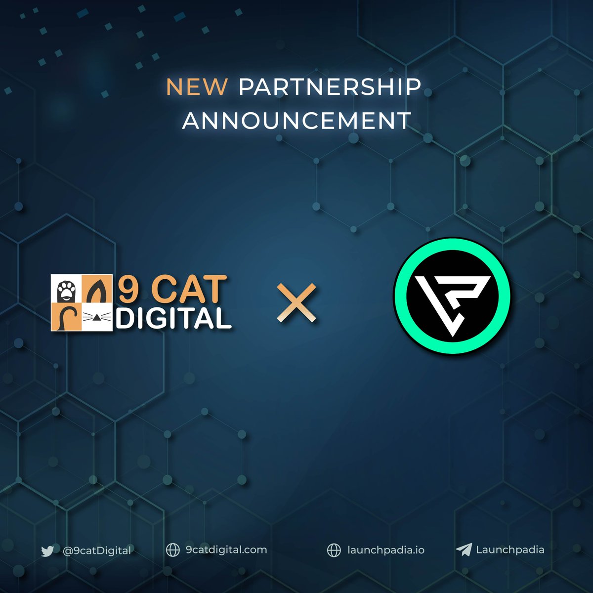 9CATGROUP's tweet photo. 😸 9 CAT DIGITAL is delighted to announce our new partnership with @LaunchPadia

Marketing services with possible prices, @LaunchPadia delivers all as promised, from building the brand, marketing the product, creating the content, and moderating the communities. https://t.co/N2oYLRhK3g