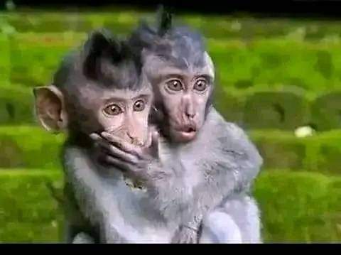 MushDavis's tweet image. Don't be a boring wife, sometimes crack jokes like.. "Honey are you sure you are the father of our kids?" 🤔