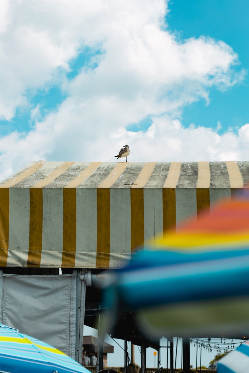 Klein's Fish Market tweet media